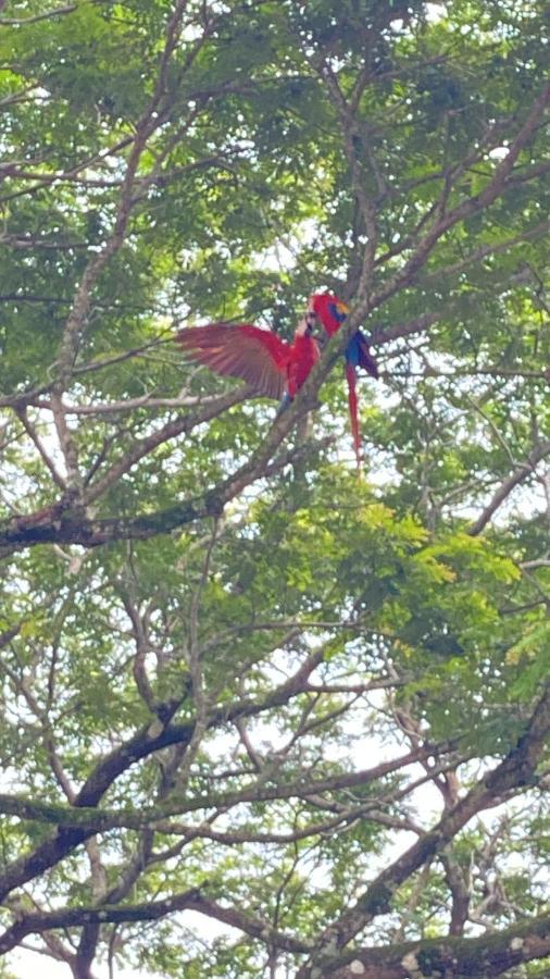 Las Plumas De Cabuya Cabuya  Exterior foto